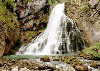Gollinger Wasserfall, Probenahme